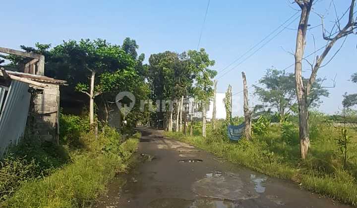Tanah Murah Di Bawah Njop Mulawarman Barat Dekat Kampus Undip Cocok Usaha Kost"san 2