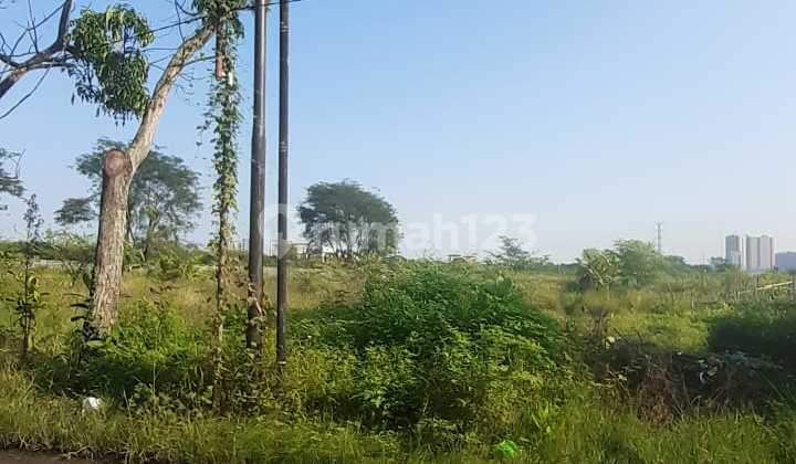 Tanah Murah Di Bawah Njop Mulawarman Barat Dekat Kampus Undip Cocok Usaha Kost"san 1
