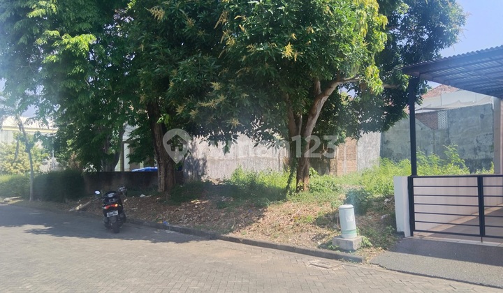 Cheap Land 480M Wide Graha Estetika Undip Tembalang Campus 1