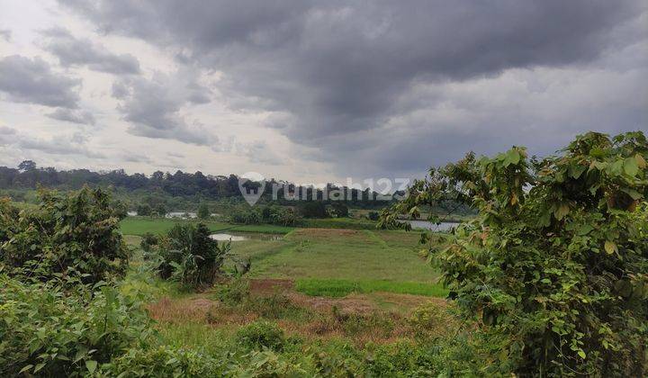 Kavling Peruntukan industri, gudang, perkebunan di Cisauk, Tangerang 1