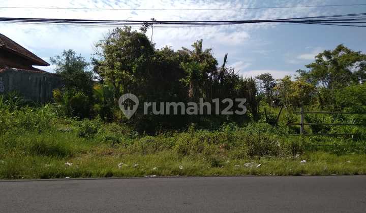 Tanah Siap Bangun Lokasi Strategis di Cipanas, Puncak  1