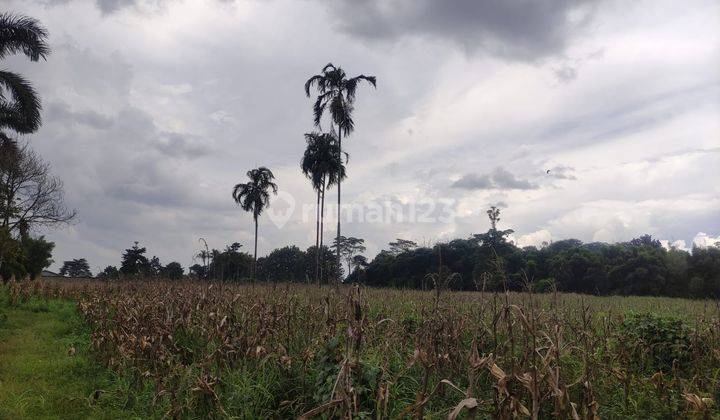 Kavling Peruntukan industri, gudang, perkebunan di Cisauk, Tangerang 2