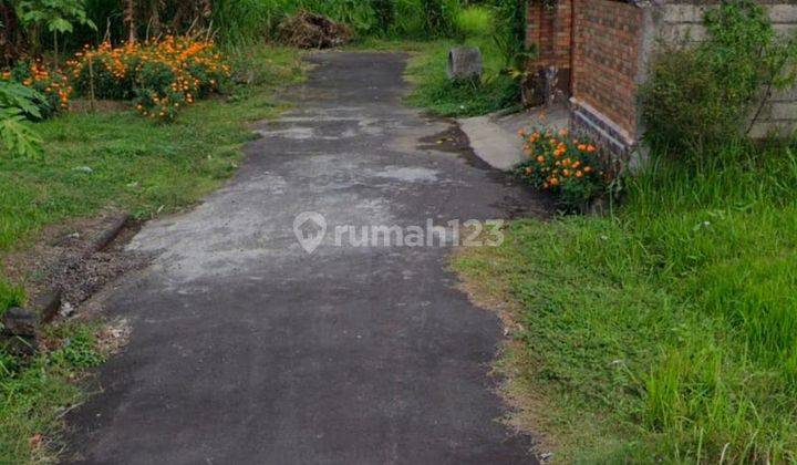 Dijual Cepat Tanah Kavling Murah Berlokasi di Tabanan 