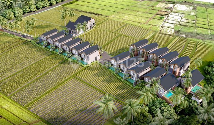Brand New Exclusive Cluster Villa Ubud  with Ricefield View