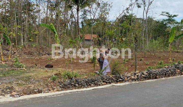 TANAH KAVLING DI BEJIHARJO GUNUNGKIDUL 1