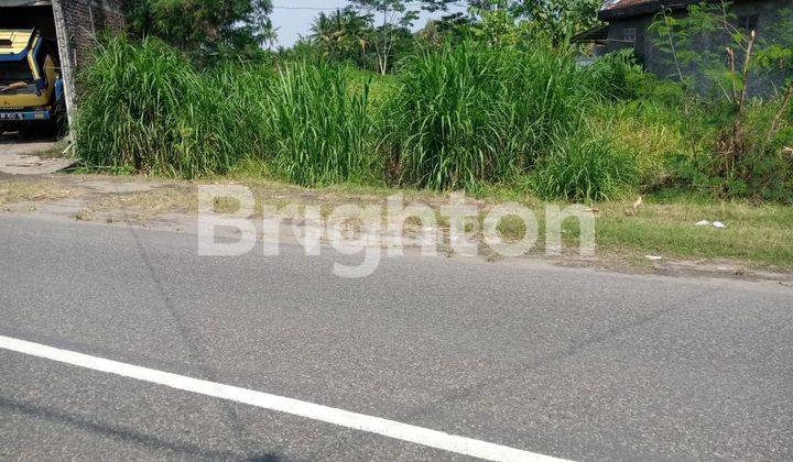 Tanah Sawah Jalur Kuning Pajangan 1