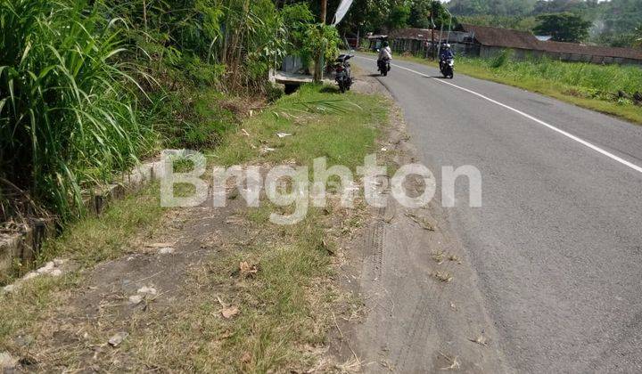 Tanah Sawah Jalur Kuning Pajangan 2