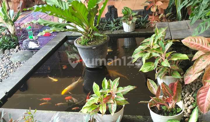 Classic 1-Story Big House in Sayap Sukajadi 2