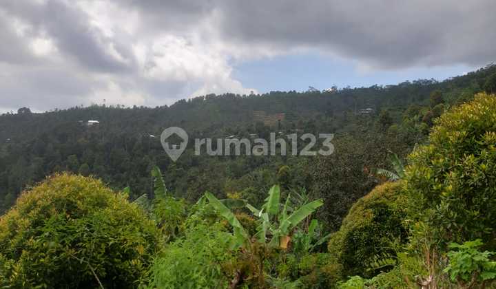 Tanah di Munduk Singaraja, Kab. Buleleng, Kec. Banjar, Bali 3