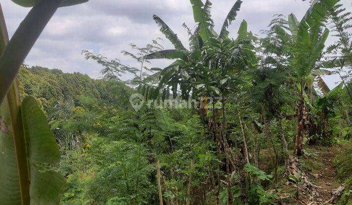 Tanah di Munduk Singaraja, Kab. Buleleng, Kec. Banjar, Bali 4
