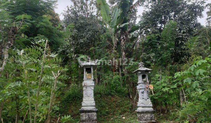 Tanah di Munduk Singaraja, Kab. Buleleng, Kec. Banjar, Bali 8