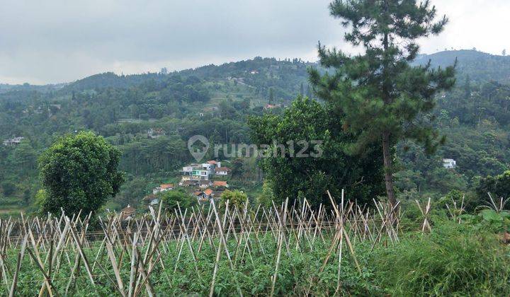 Kavling di Pagerwangi Cocok Untuk Cafe Atau Villa 1