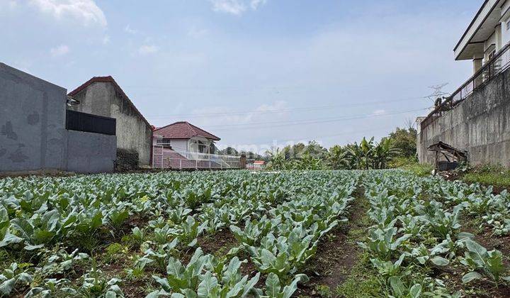 Tanah Kavling Bentuk Tanah Persegi Panjang di Setiabudi Regency 2