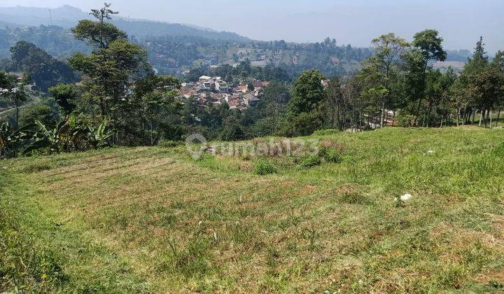 Tanah Best View Kota Bandung di Pagerwangi, Lembang 1