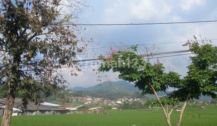 Tanah di Mainroad Ciwidey Cocok Untuk Hotel, Resort dan Villa Tanah di Mainroad Ciwidey Cocok Untuk Hotel, Resort dan Villa