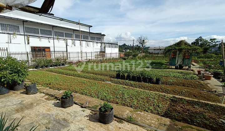 Tanah dan Bangunan Posisi Hook di Sersan Bajuri, Cihideung Tanah dan Bangunan Posisi Hook di Sersan Bajuri, Cihideung