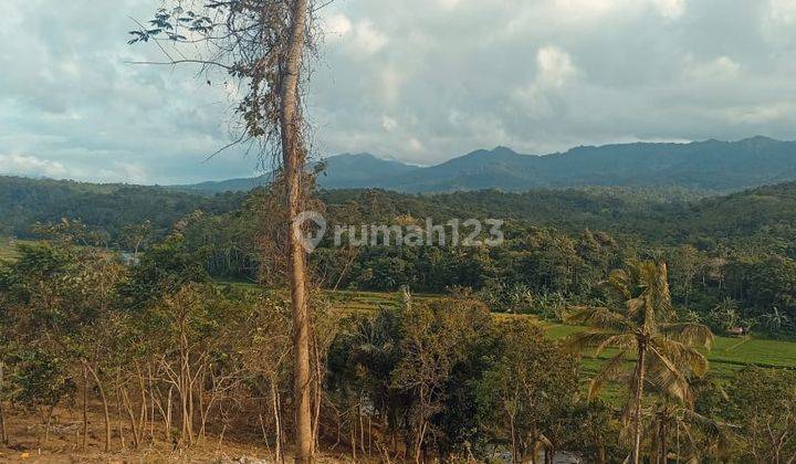 Tanah Kavling Siap Bangun Area Wisata Selangkah ke Pantai Anyer 6