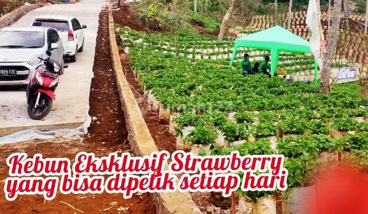 Kavling Pemandangan Indah dan Dingin di Ciwidey Bandung 3