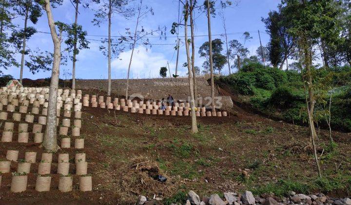 Kavling Pemandangan Indah dan Dingin di Ciwidey Bandung 6