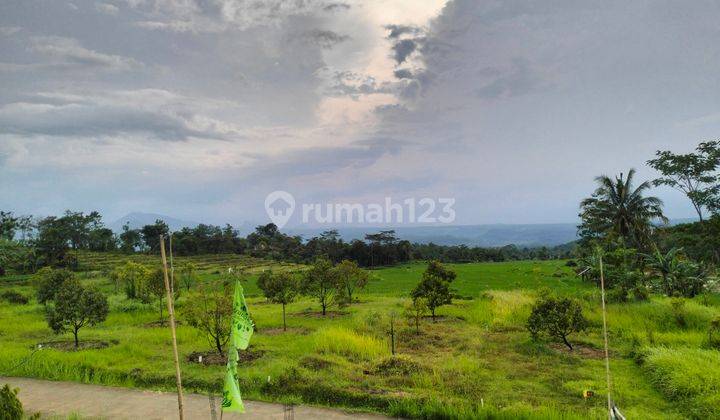 Tanah Kavling Durian 100 m² Vie Pegunungan Indah Memukau 5
