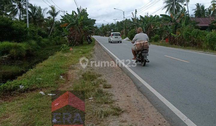 Tanah Tepi Jalan Sei Kunyit Mempawah Dekat Pelabuhan Internasional Kijing  5