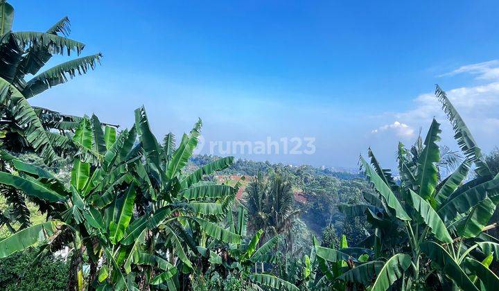 Kavling Tanah Dengan Lokasi Mainroad Di Awiligar 1
