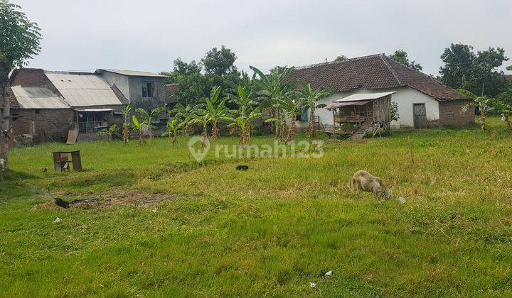 Tanah industri cocok buat gudang dan pabrik di Kraton, Pasuruan  10