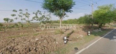 tanah komersial dan perumahan