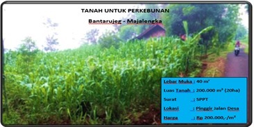 tanah untuk perkebunan