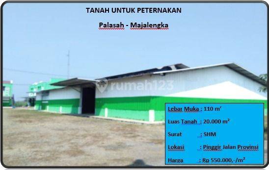 Tanah Untuk Peternakan  1