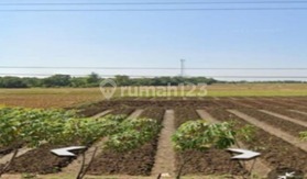 tanah komersial dan perumahan 