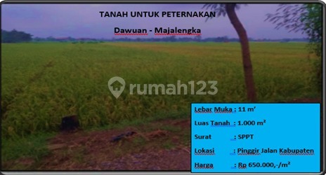 untuk tanah peternakan