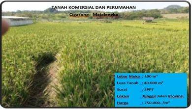 Tanah Komersial Dan Perumahan  1