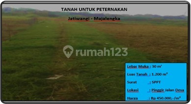tanah untuk peternakan