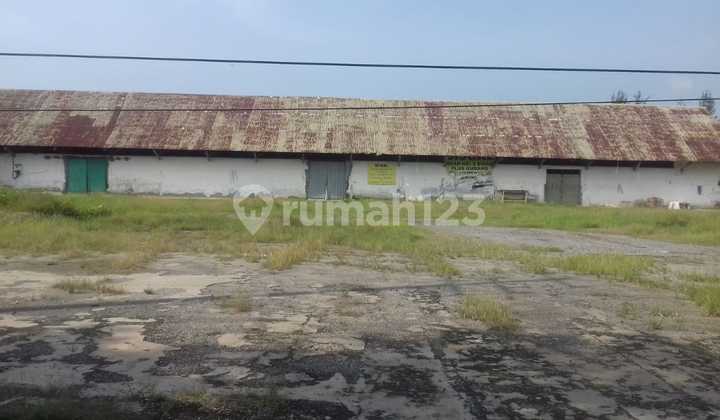 Di  Cepat Tanah SHM Murah di Kota Pemalang Jawa tengah 1