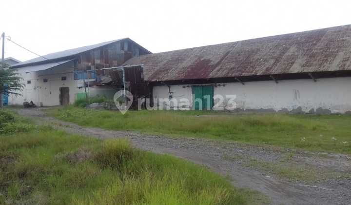 Di  Cepat Tanah SHM Murah di Kota Pemalang Jawa tengah 2