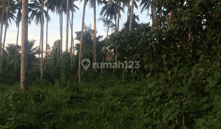 Dijual Cepat Tanah Luas di Desa Mapanget Manado  5