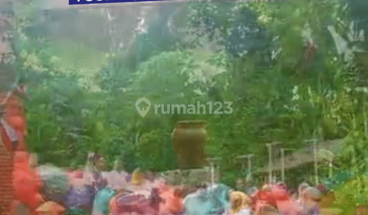 Dijual Cepat Tanah Dan Ruang Usaha di Minahasa 7