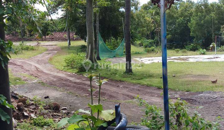 Tanah di Jl. Fatahilah Kepuh, Ciwandan 10000 SHM  1