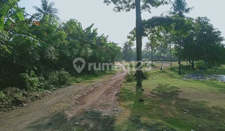 Tanah di Jl. Fatahilah Kepuh, Ciwandan 10000 SHM  4