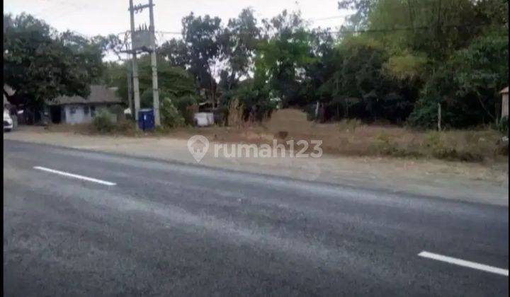 Dijual tanah nol jalan provinsi kota kediri Tanah 1