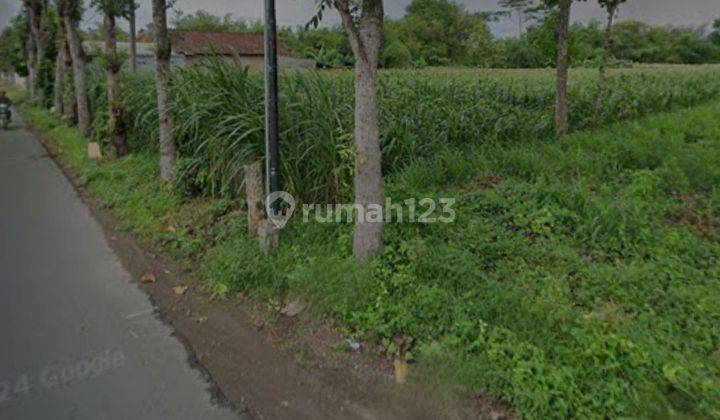 Dijual tanah murah di Kediri pare 1