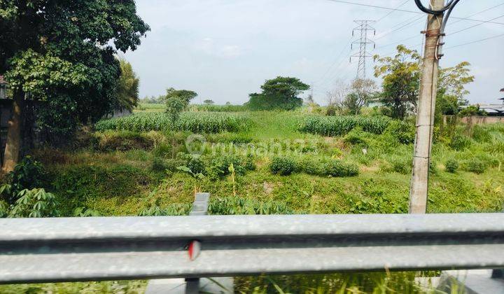 Dijual tanah pertanian di Kediri  1