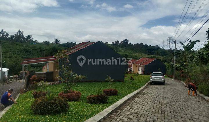 Rumah Subsidi Dalam Cluster. Lokasi Dekat Pintu Tol Cigombong. Bisa Kpr 5