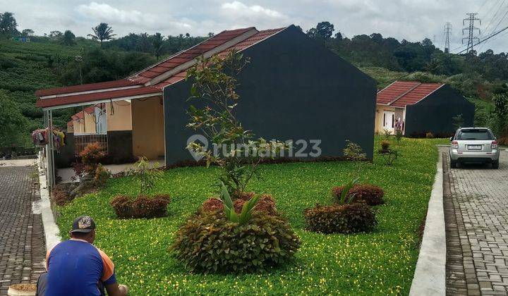 Rumah Subsidi Dalam Cluster. Lokasi Dekat Pintu Tol Cigombong. Bisa Kpr 7