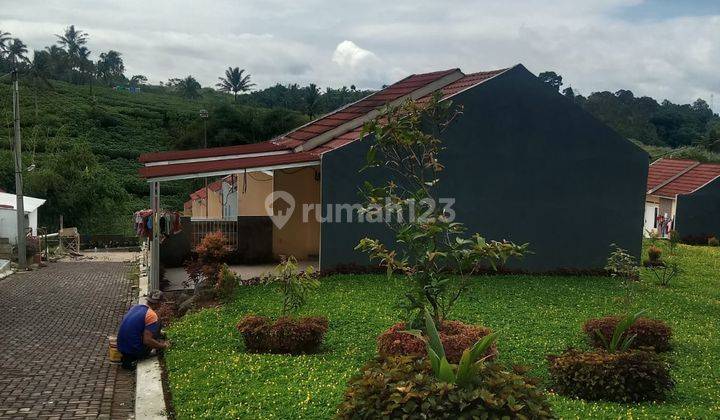 Rumah Subsidi Konsep Cluster Dekat Pintu Tol Cigombong, Dekat Pasar. Bisa Kpr 7