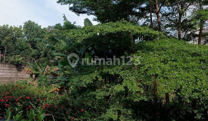 Dijual Cepat Tanah Di Meruya Selatan Dijual Cepat Tanah Di Meruya Selatan