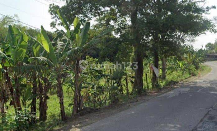 Tanah Lahan Kosong di Daerah Cikande Rangkasbitung, Serang Banten 