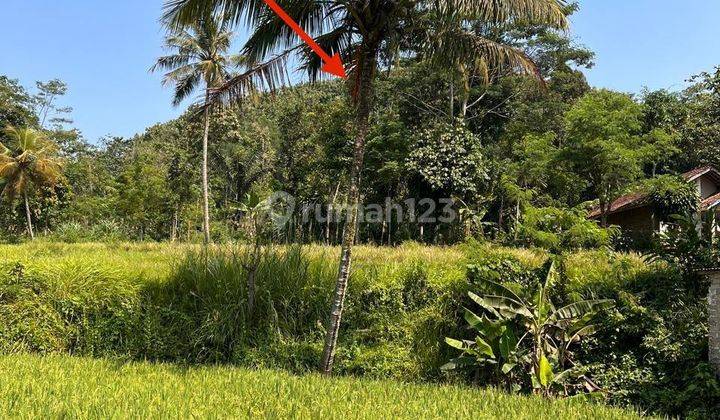 Tanah Luas di Cianjur Jawa Barat 1