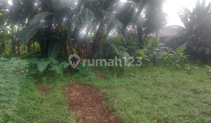 Dijual Tanah Bebas Banjir Cocok Untuk Usaha di Karanggan Raya Gunung Putri Bogor Dijual Tanah Bebas Banjir Cocok Untuk Usaha di Karanggan Raya Gunung Putri Bogor